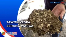 Petugas Damkar Musnahkan...