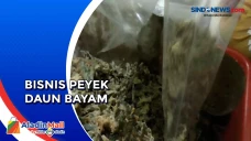 Peyek merupakan cemilan...