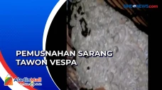 Petugas Damkar Musnahkan...