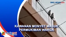 Bikin Resah, Kawanan...