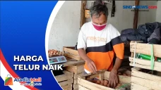 Harga Sembako Merangkak...