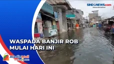 Awas! Banjir Rob di...