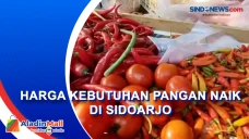 Harga Kebutuhan Pangan...