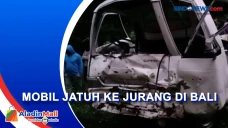 Sopir Pemula, Mobil...