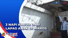 Panjat Tembok 4 Meter,...