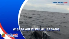 Serunya Menengok Atraksi...