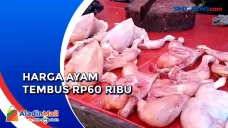 Jelang Nataru, Harga...