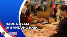 Jelang Natal dan Tahun...