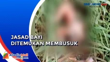 Geger Penemuan Jasad...