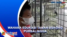 Wisata Edukasi, Melihat...