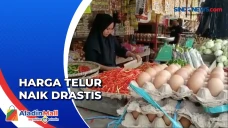 Harga Telur Ayam Tembus...