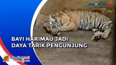 Meriahkan Libur Nataru,...