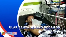 Bocah di Sulteng Mendapatkan...