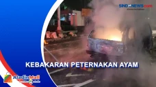 Peternakan Ayam di Pesangrahan...