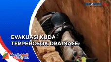 Terperosok Drainase,...