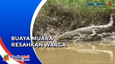 Warga Tulang Bawang...