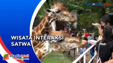 Wisata Memberi Makan...
