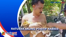 Waspada, Anjing Rabies...