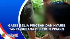 Gadis Belia Ditemukan...