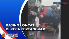 Polisi Tangkap Komplotan...