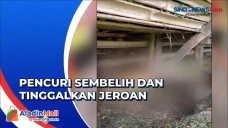 Curi 5 Kambing, Pelaku...