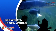 Pengunjung Padati Sea...