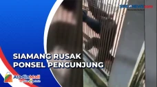 Rekam Melewati Garis...