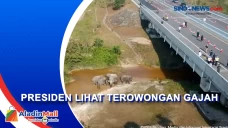 Momen Presiden Jokowi...