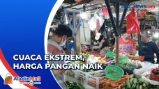 Cuaca Ekstrem, Harga...
