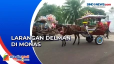 Delman Dilarang Melintas...