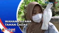Bertemu dengan Burung...