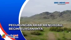Pegunungan Arab Saudi...