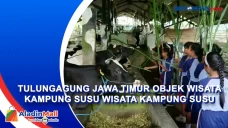 Serunya Berlibur di...