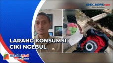 Disebut Merusak Dinding...