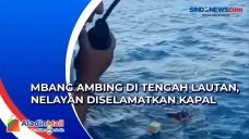 Nelayan Wakatobi Diselamatkan...