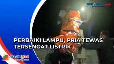 Pria Tewas Tersengat...
