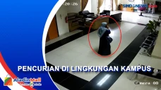 Wanita di Padang Curi...