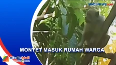 Masuk ke Permukiman...