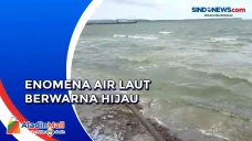 Heboh Fenomena Air Laut...