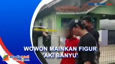 Wowon Mainkan Figur...