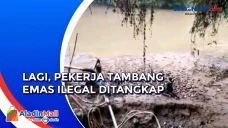 Lakukan Aktivitas Ilegal,...