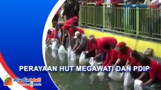 Perayaan HUT Megawati...