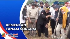 Hadapi Krisis Pangan,...
