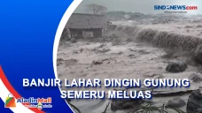 Kebun Sengon Warga Rusak...
