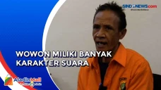 Wowon Pelaku Serial...