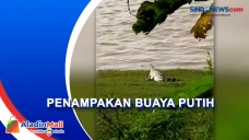 Geger! Warga Taman Rajo...