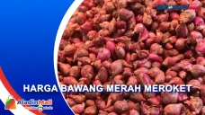 Dampak Gagal Panen,...