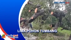Hujan Disertai Angin...