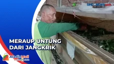 Seorang Kakek di Mojokerto...