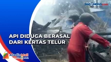 Usai Asapi Sarang Tawon,...